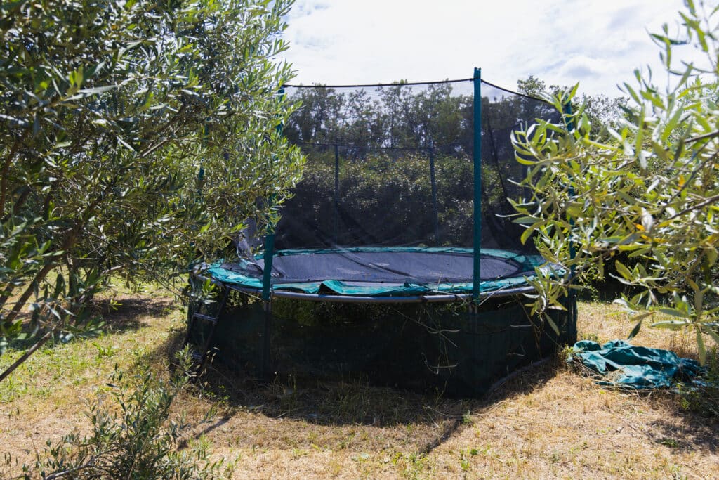 Trampoline rond avec filet de sécurité sur un sol de gravier, devant un olivier