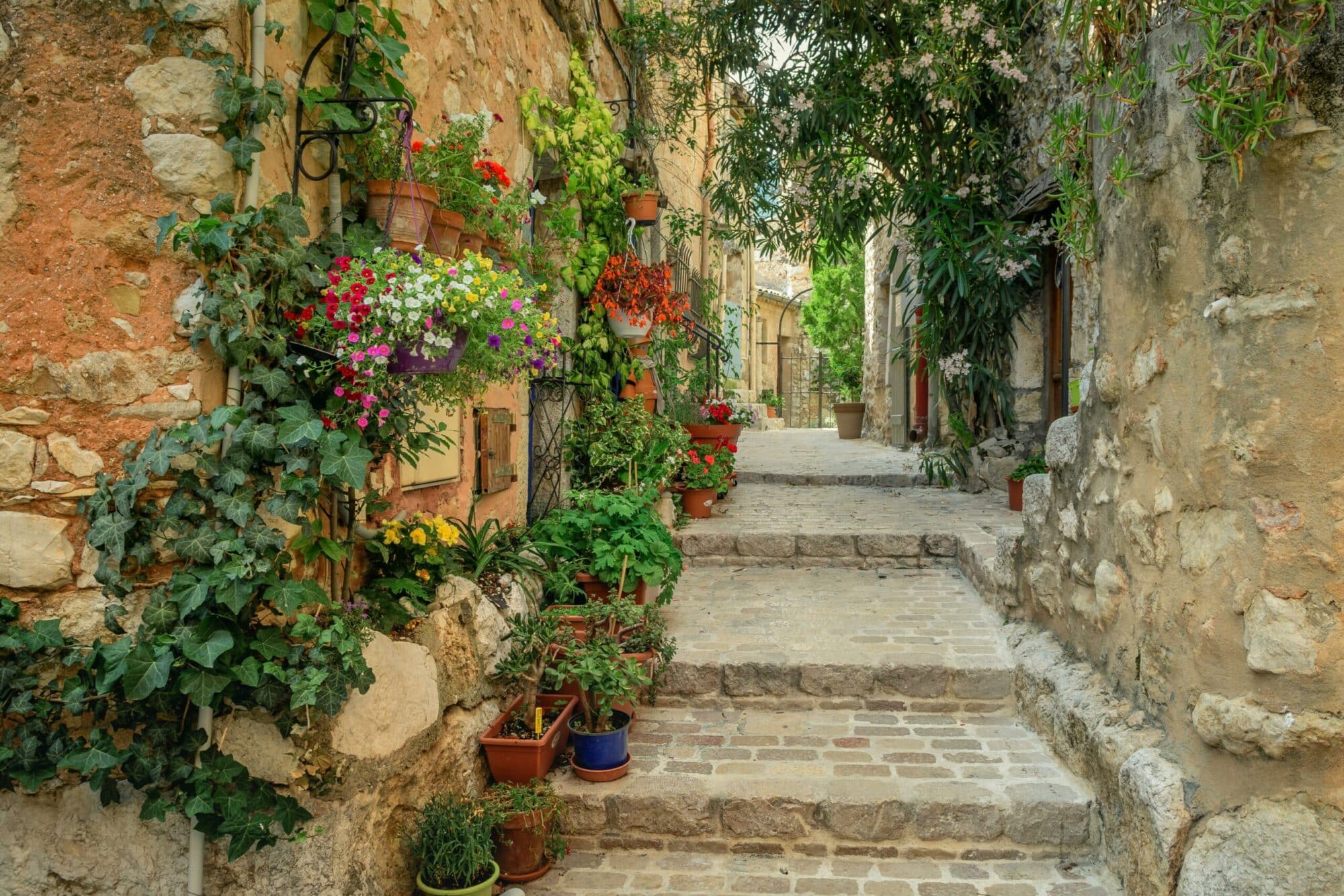 Ruelle fleurie d’un village du Luberon Ruelle en escalier pavée d’un village de pierre du Luberon, bordée de pots de fleurs, de lierre et d’un laurier-rose en fleurs